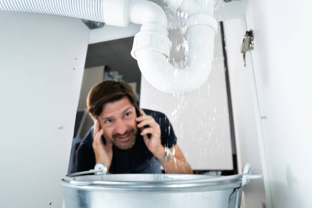 Best Local Plumber Services  in Auburn, IN