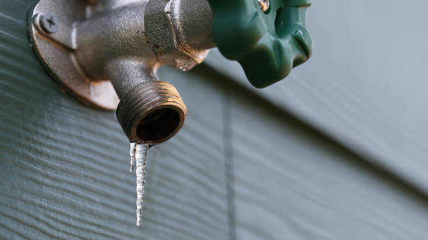 Best Leak Detection Services  in Auburn, IN